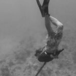 Diving Fins - A Diver Hunting Underwater