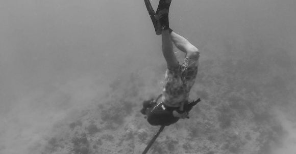 Diving Fins - A Diver Hunting Underwater