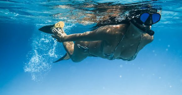 Snorkeling - Man in Black Swimming Goggles in Water
