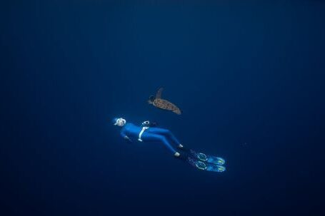 Scuba Diving - Underwater Photo of a Person Swimming with a Turtle