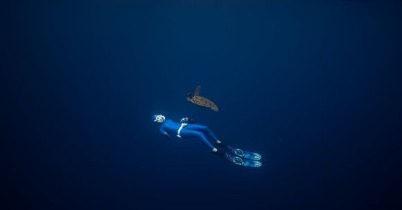 Scuba Diving - Underwater Photo of a Person Swimming with a Turtle