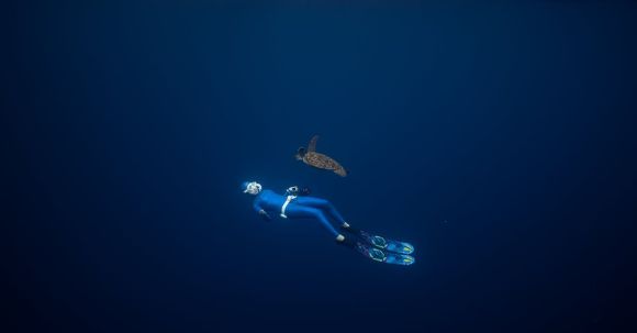Scuba Diving - Underwater Photo of a Person Swimming with a Turtle