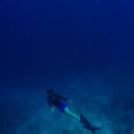 Scuba Diving - Person Scuba Diving Underwater Deep Sea Water