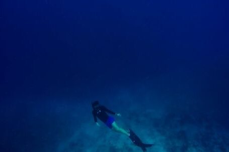 Scuba Diving - Person Scuba Diving Underwater Deep Sea Water