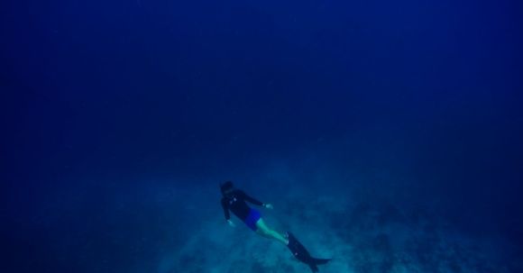 Scuba Diving - Person Scuba Diving Underwater Deep Sea Water