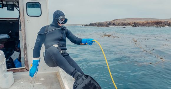 Scuba Diving - Person in Scuba Diving Gear Sitting on a Boat Holding a Yellow Hose