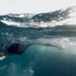 Underwater - Woman Swimming In Body Of Water