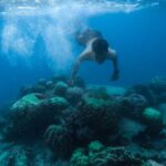 Snorkeling - Photo of a Man Swimming Underwater