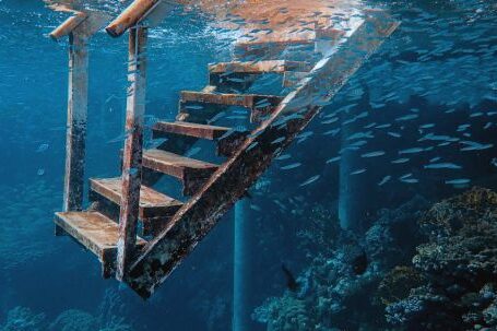 Underwater - Photo of Stairs Underwater