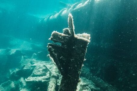 Shipwrecks For Diving - Underwater Photo of Rusty Metal Shipwreck Parts