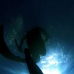 Diving - Black and White Corded Device