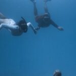 Snorkel - Unrecognizable divers in scuba masks and flippers swimming underwater of blue ocean and observing ancient sunken Buddha statue