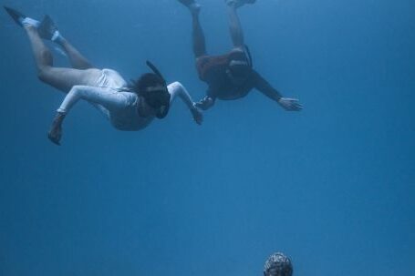 Snorkel - Unrecognizable divers in scuba masks and flippers swimming underwater of blue ocean and observing ancient sunken Buddha statue