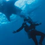 Scuba Tank - From below of anonymous diver in wetsuit and fins with oxygen tank swimming next to big shark underwater in ocean