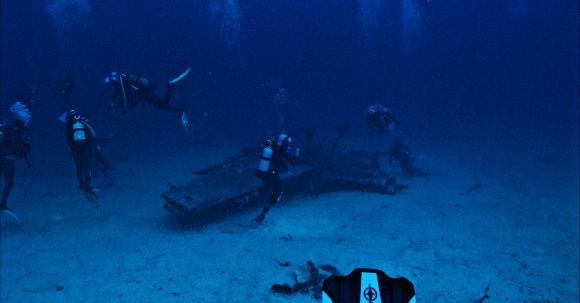 Scuba Diving - Scuba Divers Swimming Underwater