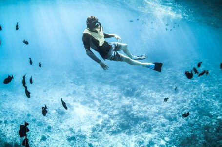 Snorkel - Photo of a Person Snorkeling