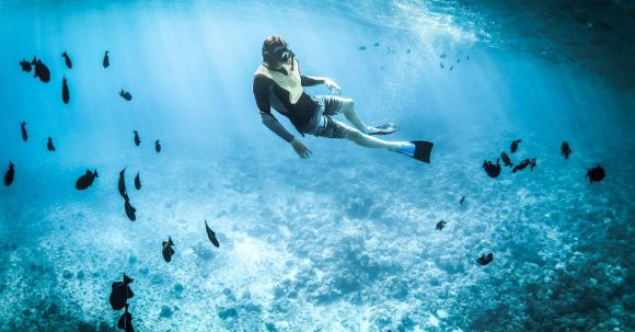 Snorkel - Photo of a Person Snorkeling