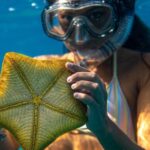Snorkel - Young female diver in mask and swimsuit holding yellow starfish while looking at camera