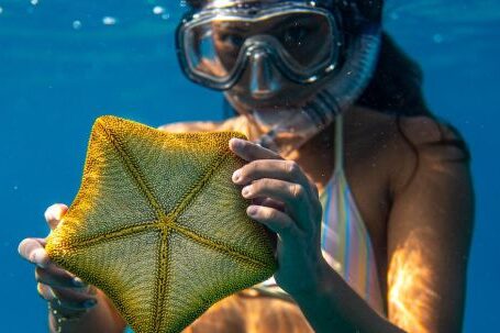 Snorkel - Young female diver in mask and swimsuit holding yellow starfish while looking at camera