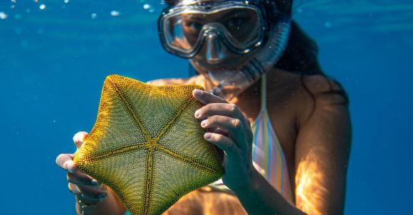 Snorkel - Young female diver in mask and swimsuit holding yellow starfish while looking at camera