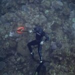 Scuba Diving - Underwater Photo of a Person
