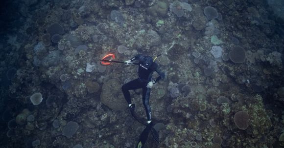 Scuba Diving - Underwater Photo of a Person