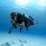 Diving - person in black and white diving suit under water