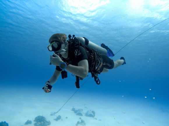 Diving - person in black and white diving suit under water