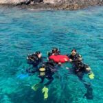 Diving - people in water during daytime