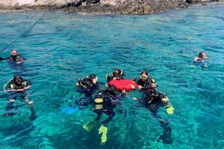 Diving - people in water during daytime