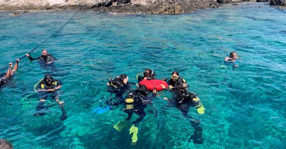 Diving - people in water during daytime