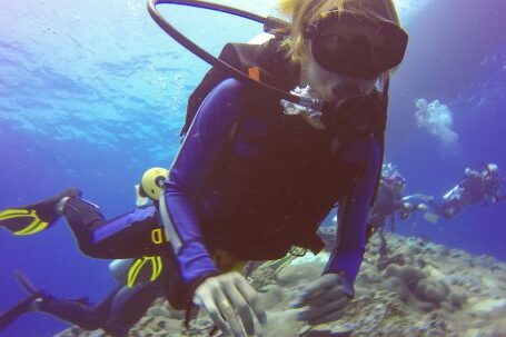 Diving - Diver Under The Sea