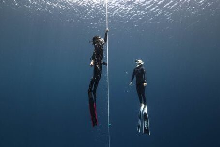 Diving Fins - Two People Diving