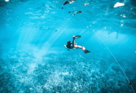 Snorkeling - man in black shorts swimming in water