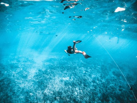 Snorkeling - man in black shorts swimming in water