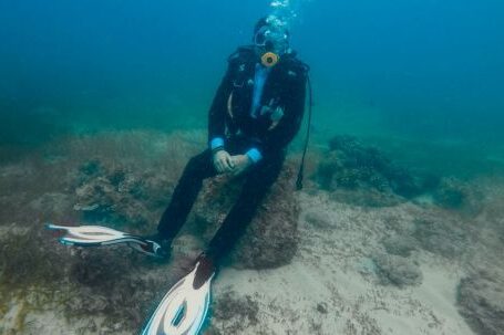 Diving Mask - Fit anonymous frogman in diving dress and flippers sitting on stone with hands together under ocean water with sand and seaweed on bottom and bubbles above oxygen mask