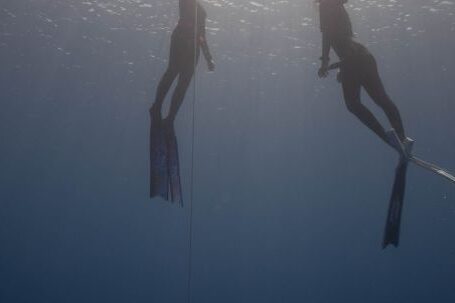 Wetsuit - From below of anonymous divers in wetsuits with flippers swimming up rope under clear sea water in sun rays