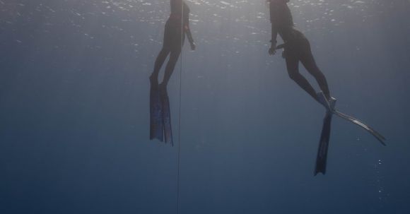 Wetsuit - From below of anonymous divers in wetsuits with flippers swimming up rope under clear sea water in sun rays