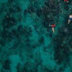 Snorkel - People Snorkeling In The Sea