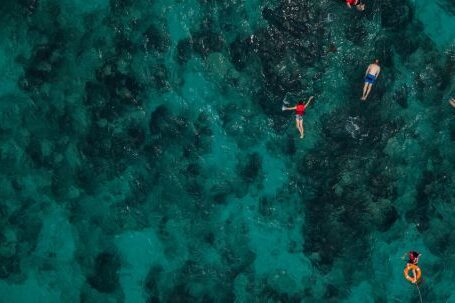 Snorkel - People Snorkeling In The Sea