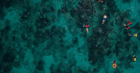 Snorkel - People Snorkeling In The Sea