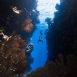 Diving Locations - a person swimming in a deep blue ocean
