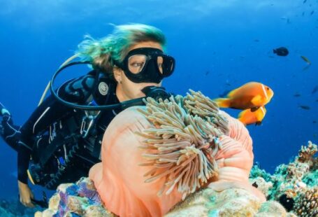 Diving - female diver near sea sponge during daytime