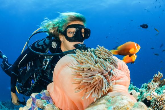 Diving - female diver near sea sponge during daytime