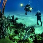 Diving - 2 Scuba Diver Underwater