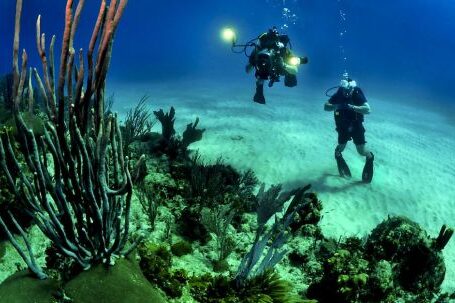 Diving - 2 Scuba Diver Underwater