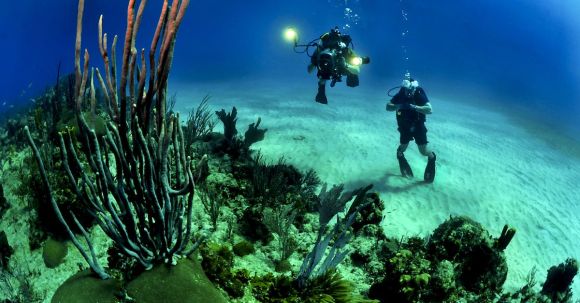 Diving - 2 Scuba Diver Underwater