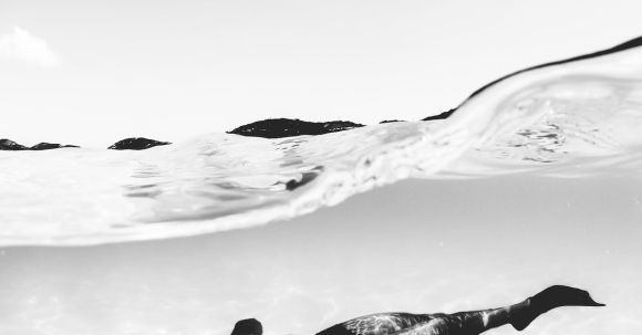 Diving Fins - A Diver Swimming Underwater
