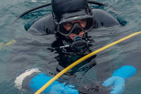 Scuba Diving - Scuba Diver on Water Surface Holding a Sea Urchin