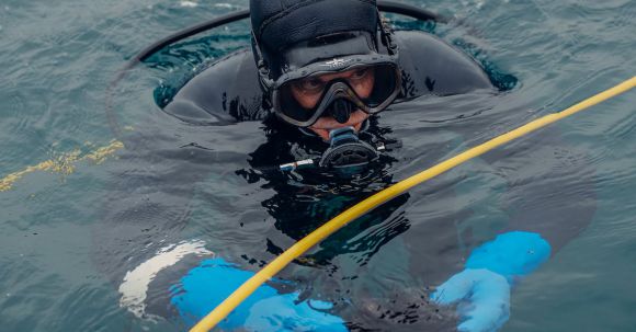 Scuba Diving - Scuba Diver on Water Surface Holding a Sea Urchin